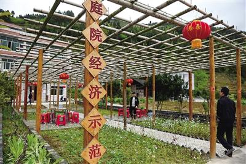 彭水租房市场动态分析与趋势预测